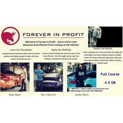 Wall Street Academy - Forever in Profit 3 full courses (Total size: 4.69 GB Contains: 5 folders 45 files)