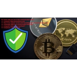 Cryptocurrency Cyber Security Protect Your Bitcoin (Total size: 1.35 GB Contains: 7 folders 66 files)