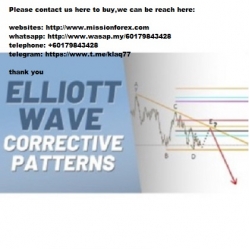 The Complete Guide to Professional Trading with Elliott Wave (Tutorial Video)