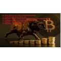 BIG BULL CRYPTO COURSE (Total size: 1.14 GB Contains: 12 files)