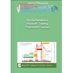 Wyckoff Analytics - Wyckoff Trading Practicum Course (Total size: 3.63 GB Contains: 15 folders 50 files)