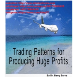 Barry Burns – Trading Patterns for Producing Huge Profits  (Total size: 21.0 MB Contains: 1 folder 9 files)