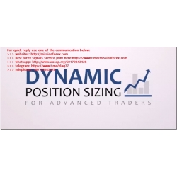 Better System Trader - Dynamic Position Sizing