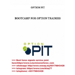 Option Pit 4-Day Boot Camp (Total size: 471.0 MB Contains: 1 folder 16 files)