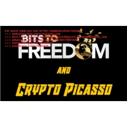 Crypto Picasso Bits to Freedom Video Course