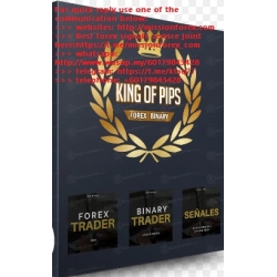 Curso Trading King of Pips - Caja de Cursos