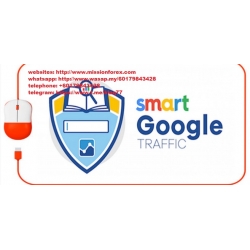 Ezra Firestone - Smart Google Traffic  (Total size: 4.17 GB Contains: 6 folders 14 files)