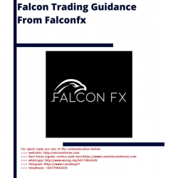 Falcon FX Trading Guidance mentorship package