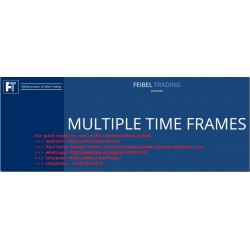 Feibel Trading - Multiple Timeframes (Total size: 4.45 GB Contains: 21 files)