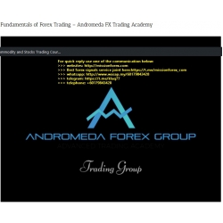 Fundamentals of Forex Trading - Andromeda FX Trading Academy