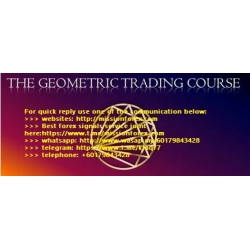 Ross Beck Geometric Trading Course (Total size: 1.97 GB Contains: 17 files)