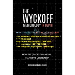 The Wyckoff Methodology in Depth How to Trade Financial Markets Logically Audiobook AUD (Total size: 111.8 MB Contains: 41 files)