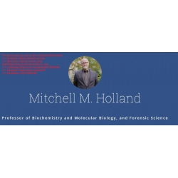 Mitchell Holland - When Technicals Become Fundamentals (Total size: 111.6 MB Contains: 5 files)