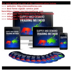 CHRIS LEET - SUPPLY AND DEMAND COURSE (Enjoy Free BONUS Mega Profits - The Master Trader Six Essential Skills of Master Traders)