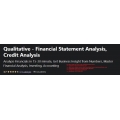 Qualitative Financial Statement Analysis Credit Analysis (Total size: 1.58 GB Contains: 50 files)