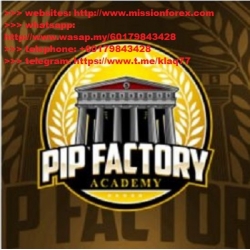 PipFactory Academy course (Total size: 1.65 GB Contains: 9 folders 32 files)