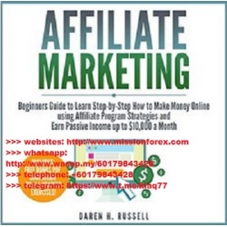 Learn Affiliate Marketing Strategies (Total size: 700.1 MB Contains: 1 folder 13 files)