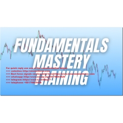 Macro FX - Fundamental Mastery Training