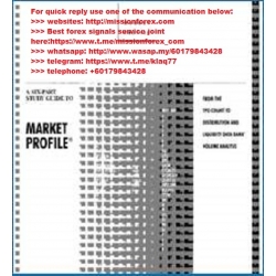 Mesch Market Profile (Total size: 247.4 MB Contains: 1 folder 27 files)