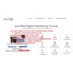 Digital Vidya - Certified Digital Marketing Master Course