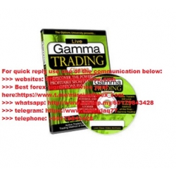 Ron Ianieri - Gamma Trading for Professionals ( Total size: 321.3 MB Contains: 11 files )
