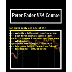 Peter Fader – VSA Course Trading Video (Enjoy Free BONUS T0pDog Trading Course complete and Intermediate level)