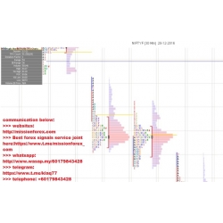 Basic Market Profile and How I Use It (Total size: 166.0 MB Contains: 6 file)