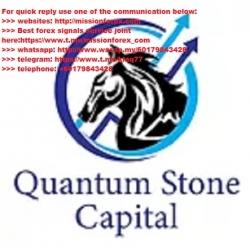 Quantum Stone Capital Institutional Trading (Total size: 1.10 GB Contains: 2 folders 36 files)