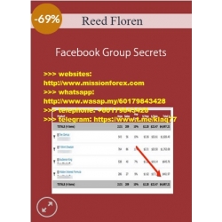 Reed Floren - FB Group Secrets (Total size: 347.2 MB Contains: 1 folder 11 files)