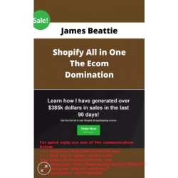 James Beattie - All in one Shopify Ecom Domination