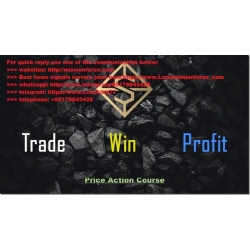 TWP Price Action Course (Total size: 3.45 GB Contains: 6 folders 39 files)