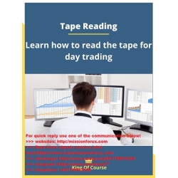 Day Trading University - Tape Reading Secrets (Total size: 1.55 GB Contains: 14 folders 96 files)