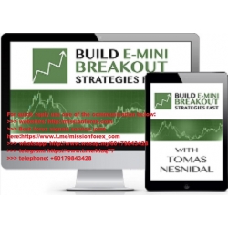 Tomas Nesnidal Better System Trader - Build E-mini Breakout Strategies Fast (Total size: 1.48 GB Contains: 10 folders 113 files)