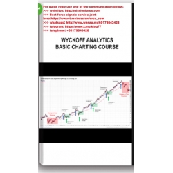 Wyckoffanalytics - Basic Charting Course (Total size: 526.3 MB Contains: 20 folders 63 files)