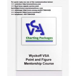 TradeGuider - VSA Point and Figure (Total size: 910.5 MB Contains: 6 files)