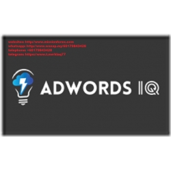 Caitlin Schlichting - AdWords IQ Academy  (Total size: 4.47 GB Contains: 8 folders 54 files)