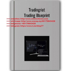 TradingRiot - Blueprint 3.0  (Total size: 1.44 GB Contains: 9 folders 41 files)