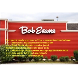 Bob Evans Portfolio a collection of investments Short selling