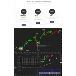 TachEon Price Volume Time (PVT) for NinjaTrader