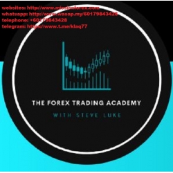 Steve Luke - The Forex Trading Academy - Course  (Total size: 9.36 GB Contains: 4 folders 73 files)