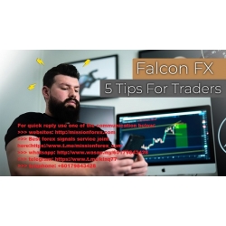 Falcon fx Quick Tips Season Two (Total size: 361.9 MB Contains: 11 files)