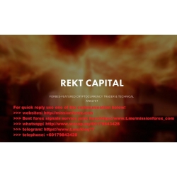 Rekt Capital - Alt Coin Investing (Total size: 3.78 GB Contains: 14 files)