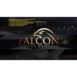Falcon FX Forex Course (Total size: 114.52 GB Contains: 50 files)