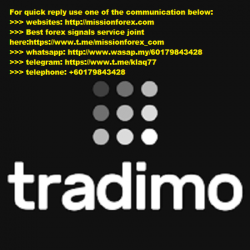 Tradimo - How to work with indicators (Total size: 716.5 MB Contains: 20 files)