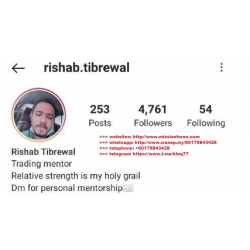 Rishab Tibrewal Mentorship full course 2021  (Total size: 4.90 GB Contains: 4 folders 230 files)