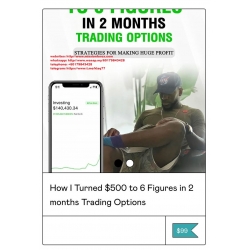 The Money Printers ( James B) - How I Turned $200 Into 6 Figures In 2 Months Trading Options (Total size: 855.8 MB Contains: 9 files)