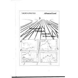 Mircea Dologa - Integrated Pitchfork Analysis Volume 3  (Total size: 23.9 MB Contains: 4 files)