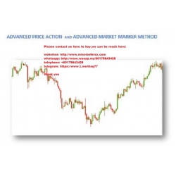 Advanced Market Maker Model (Total size: 835.9 MB Contains: 14 files)