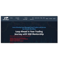 Leap Ahead In Your Trading Journey With TipToeHippo – SQX Mentorship