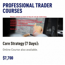 Professional Trader Courses (Core Strategy) Supply and Demand - Stocks Forex Trading (Total size:3.93 GB Contains:16 files)